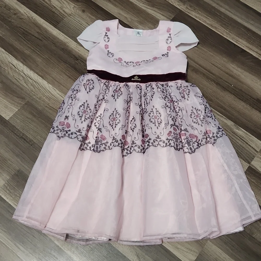 Aurora Sleeping Beauty Inspired Dress ADAPTIVE - Special Needs Siz 6